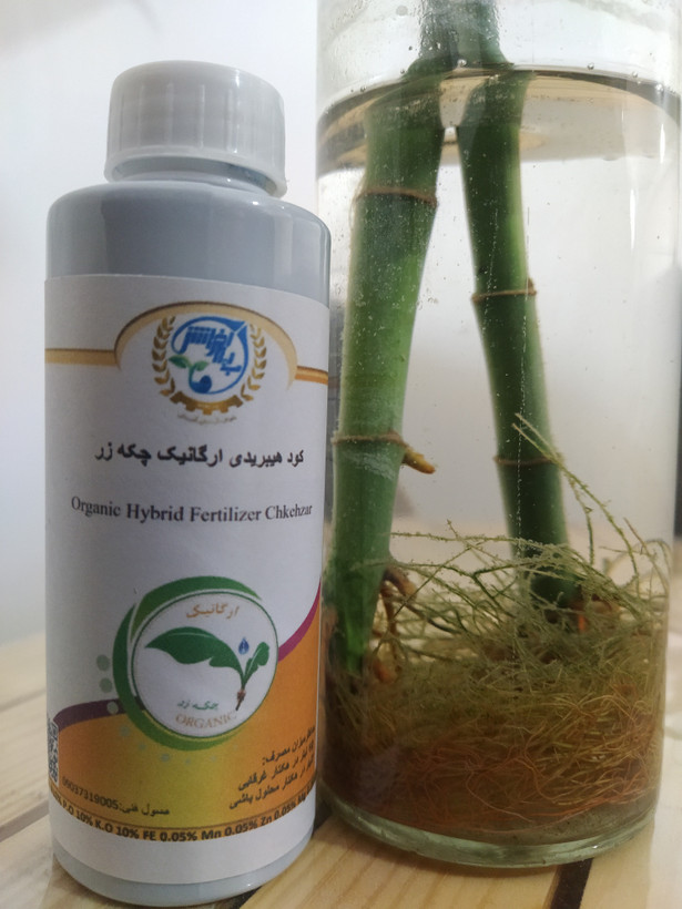 کود هیبریدی ارگانیک چکه زر